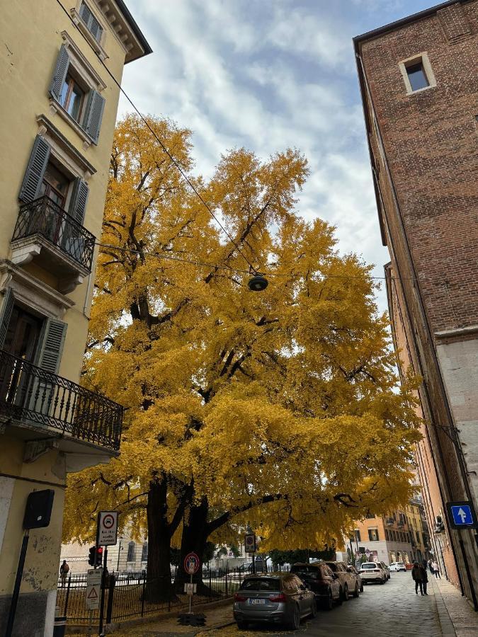 Domus Largo Pescheria Verona Buitenkant foto